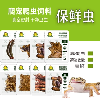 龙鱼豹纹守宫蜥蜴保鲜饲料