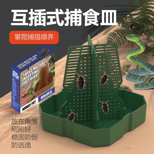 防逃喂食盆角蛙蟋蟀自助捕食