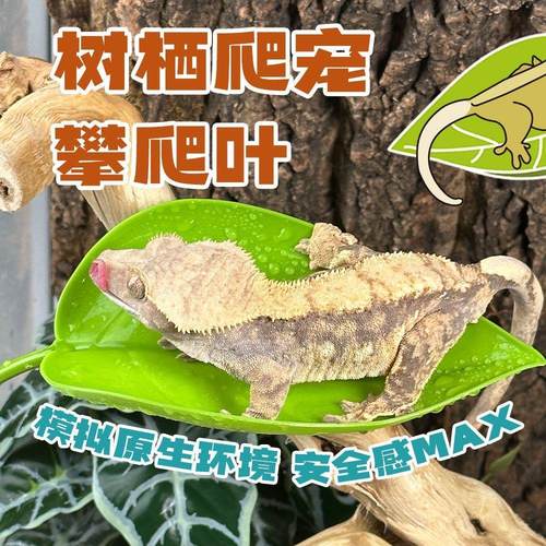 爬宠树栖R属睫角守宫姥爷树蛙躲避窝攀爬吸盘仿真叶子雨林缸造景