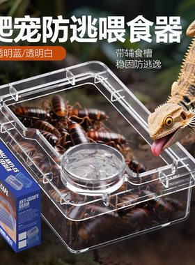爬宠雨林缸吸盘悬挂式面包虫蟋蟀杜比亚防逃睫角守宫蜥蜴喂食盆碗