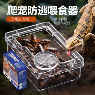 爬宠雨林缸吸盘悬挂式面包虫蟋蟀杜比亚防逃睫角守宫蜥蜴喂食盆碗