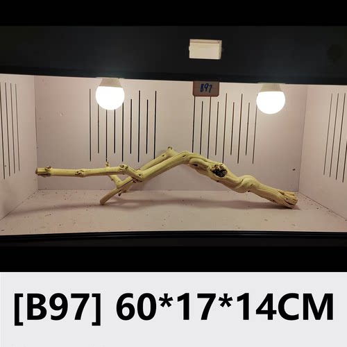 60-65选款爬宠天然木头造景豹纹守宫鬃狮蜥蜴角树蛙攀爬龙纹枯木