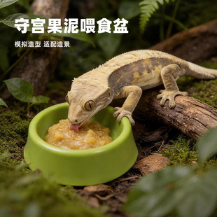 爬虫爬宠R属睫角守宫果泥喂食盆碗蜘蛛螳螂蜥蜴巨人盖勾亚食水盆