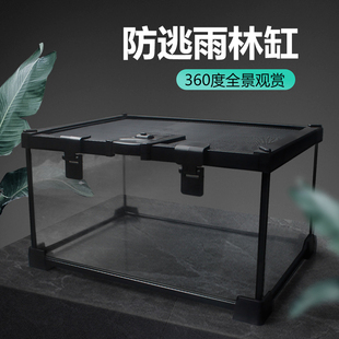 寄居蟹守宫蜥蜴蛇角蛙蜘蛛爬宠玻璃饲养缸造景水陆两栖生态雨林缸