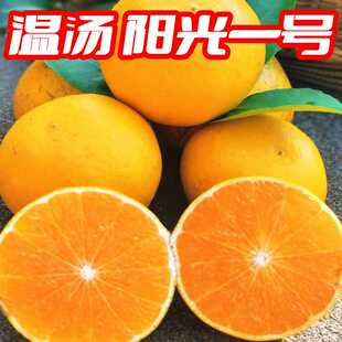 温汤富硒阳光一号纯甜桔柚新鲜江西宜春水果柚子橘子橙柚薄皮新品