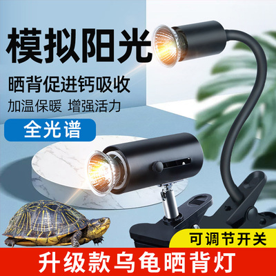 乌龟爬宠晒背灯uva取暖
