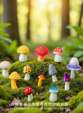微景观创意可爱蘑菇治愈系套装
