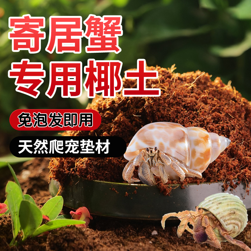 寄居蟹专用椰土免泡发湿椰土