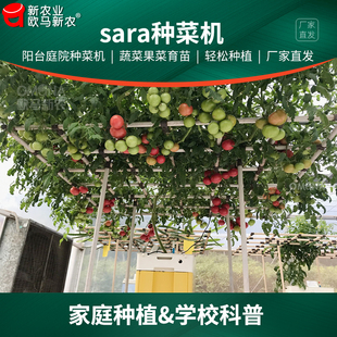 莎拉无土栽培设备种菜机菜苗蔬菜家庭阳台种植绿植草莓果菜种菜盆