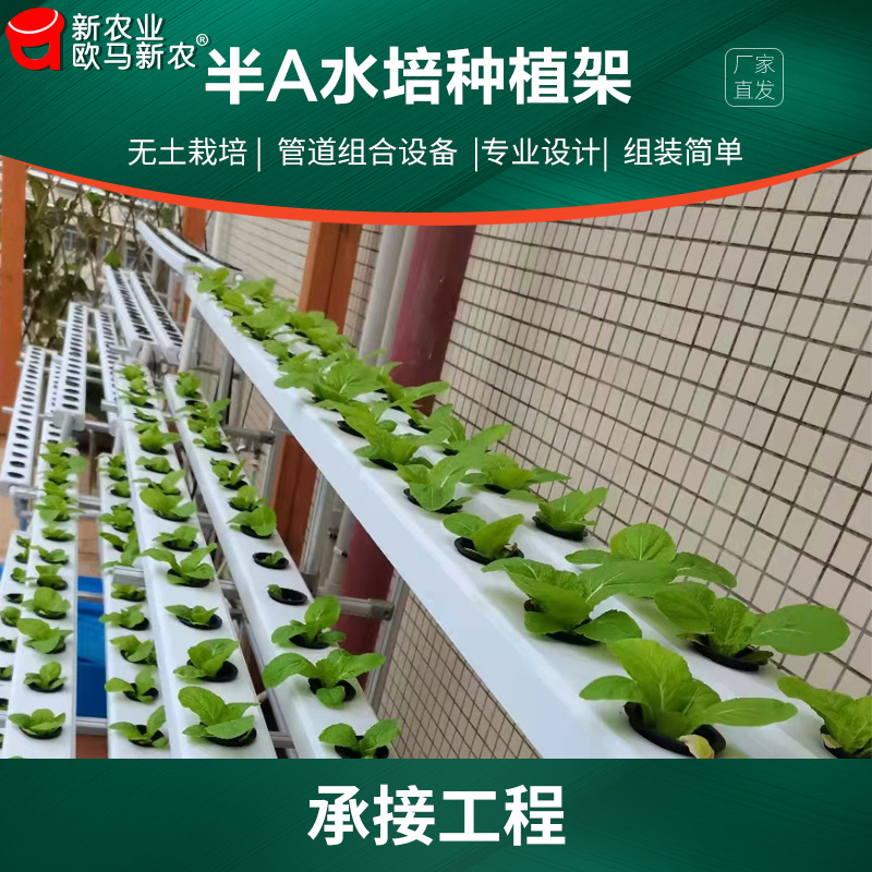 无土栽培设备农场温室管道式叶菜