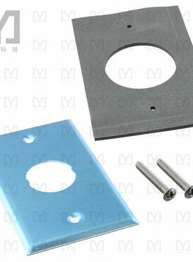 IAEFP1【CONN FACEPLATE SILVER】