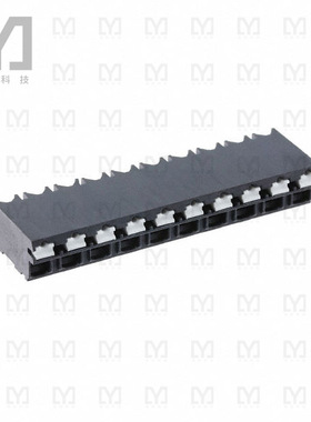 1824938【TERM BLK 10P SIDE ENT 5.08MM SMD】