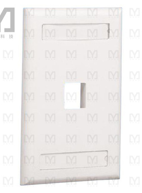 NK1FEIY【FACEPLATE FLUSH MOUNT】