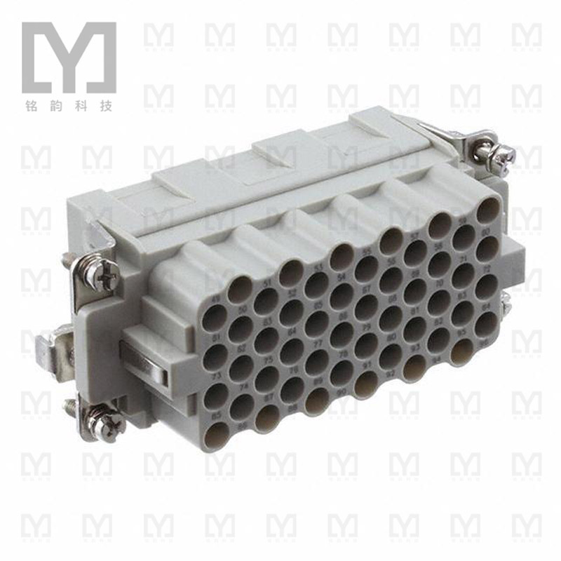 T2050962201-000【INS FML 48P+1GD HEEE-048-F 49-96】