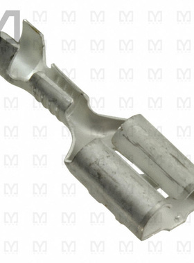 925603-2【250 FASTIN-ON REC】