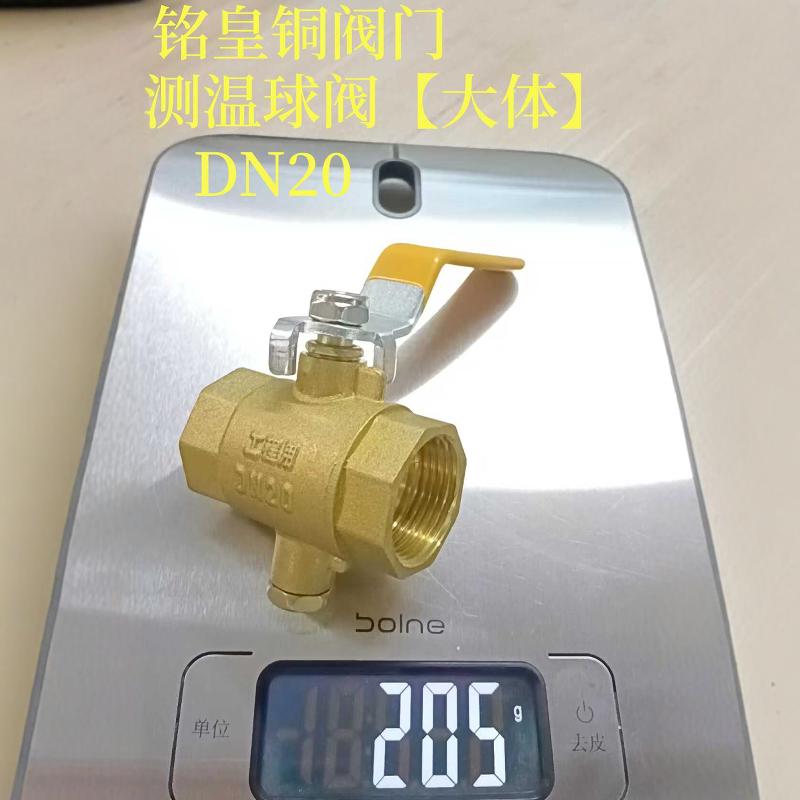 6分热力测温DN20暖气铜阀门铭皇