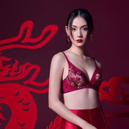 A26/戴家龙年红色蕾丝无钢圈聚拢性感内衣调整型舒适1954/1955