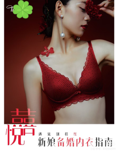 A46 水盈双生花性感蕾丝内衣女小胸聚拢文胸1879