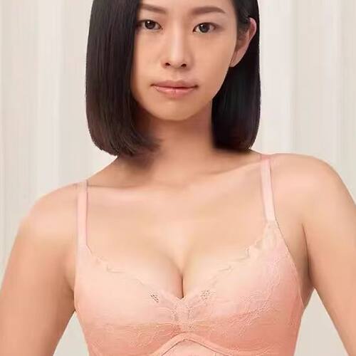 黛安金致木兰文胸有钢圈16R8981无钢圈11R1978性感蕾丝加厚聚拢