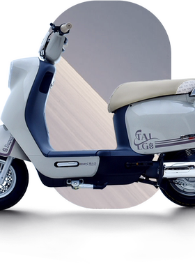 TAILG台铃超能开心原厂外壳车壳配件烤漆件PP件前围前挡泥板工具