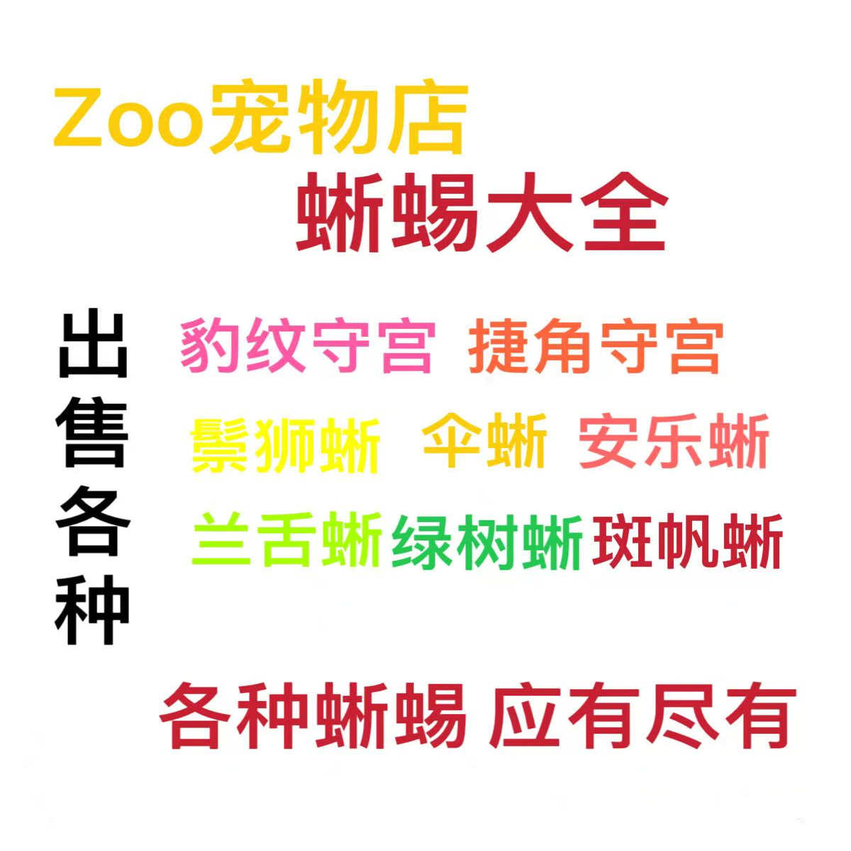 睫角守宫蜥蜴宠物幼体活物