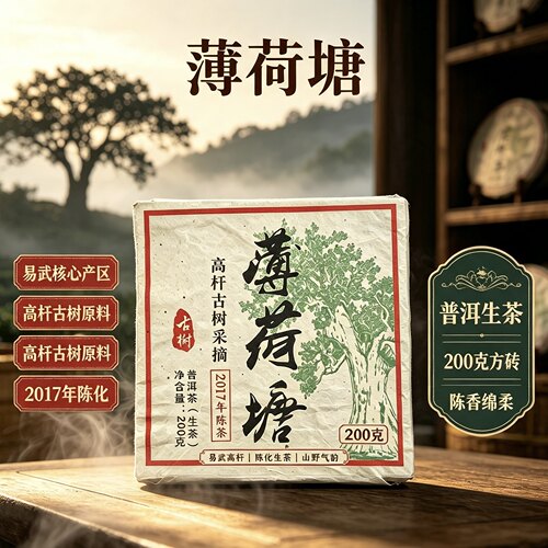 【超级大漏】2017年生茶薄荷塘茶砖