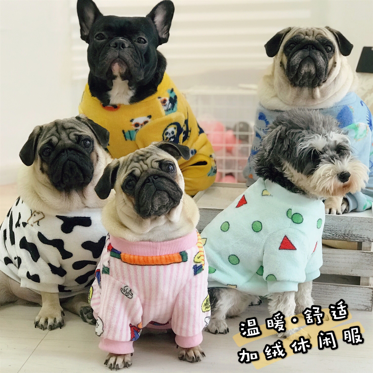 清仓减价 秋冬胖狗衣服法斗居家绒衣巴哥柯基打底衫宠物奶牛睡衣