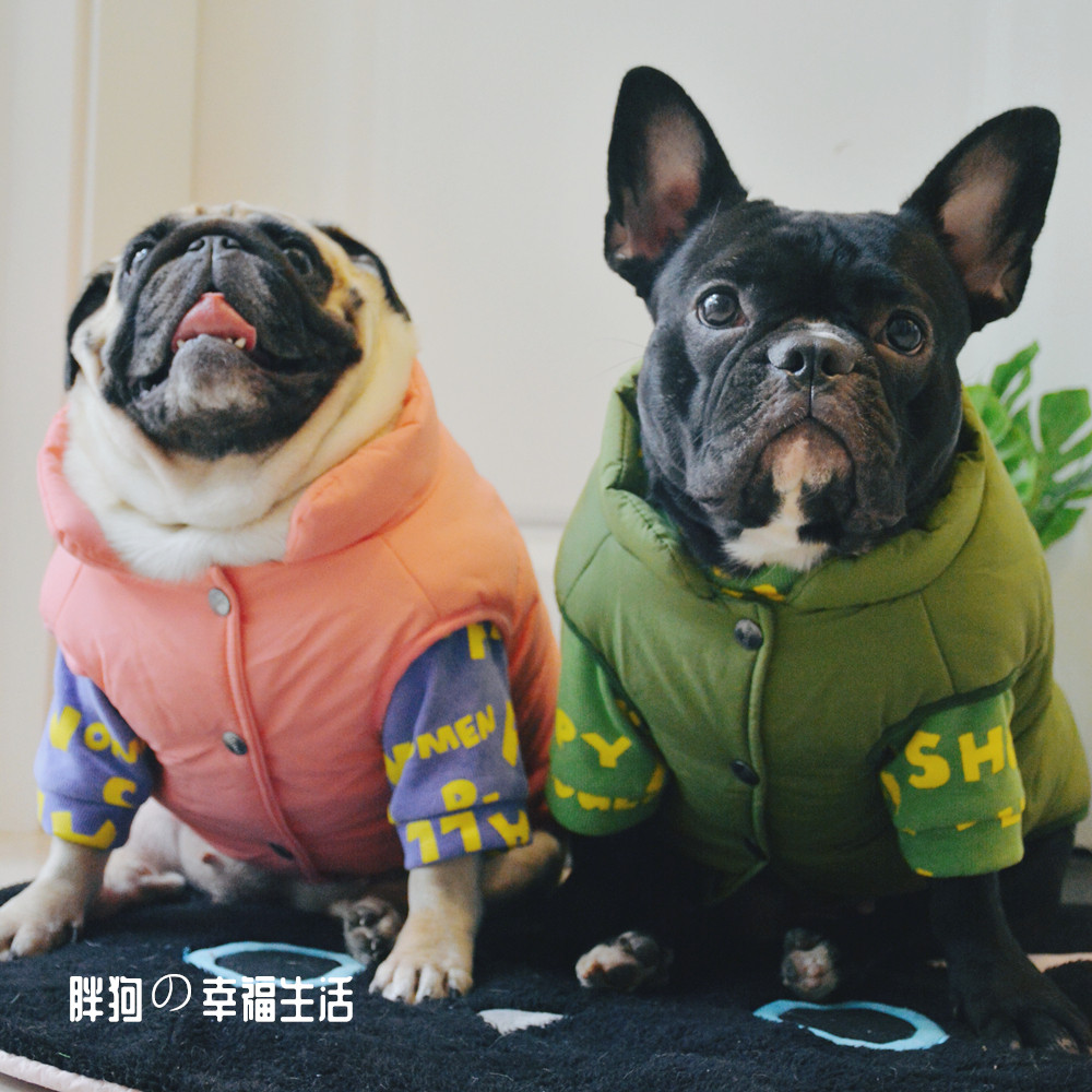 纯色狗狗棉背心斗牛巴哥柴犬棉衣大码宠物服饰比格柯基胖狗衣服冬