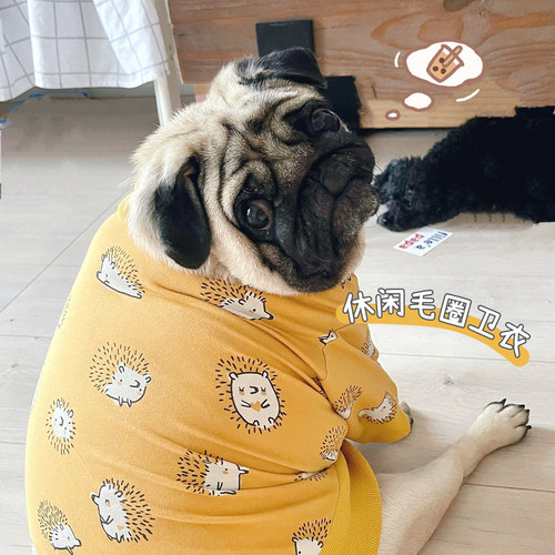 可爱毛圈卫衣胖狗两脚装柔软高弹
