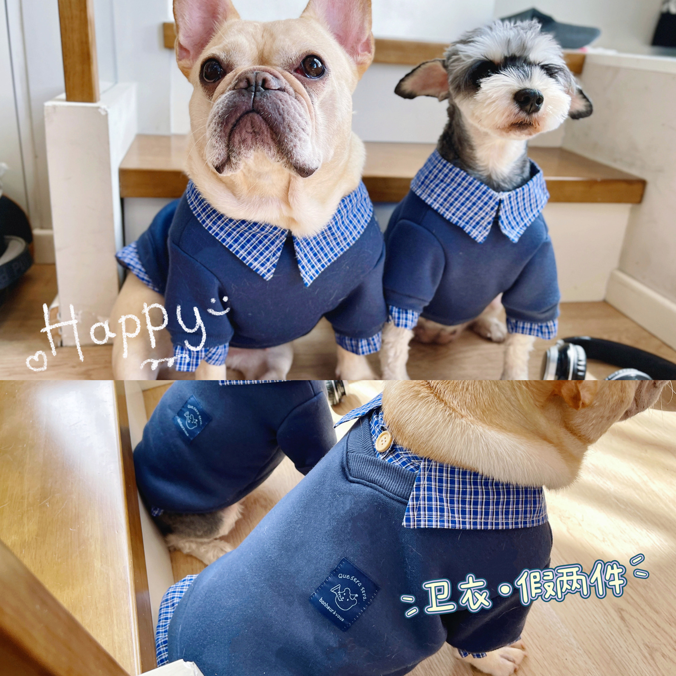 英伦衬衫假两件卫衣法斗柯基柴犬雪纳瑞大狗英斗衣服加绒秋冬装