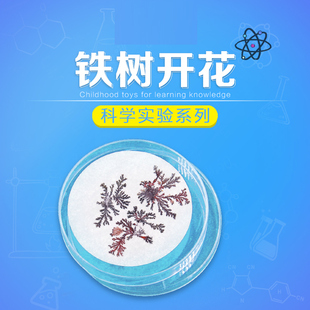 铁树开花结晶实验 男女孩科技小制作diy化学材料包科学玩具礼物