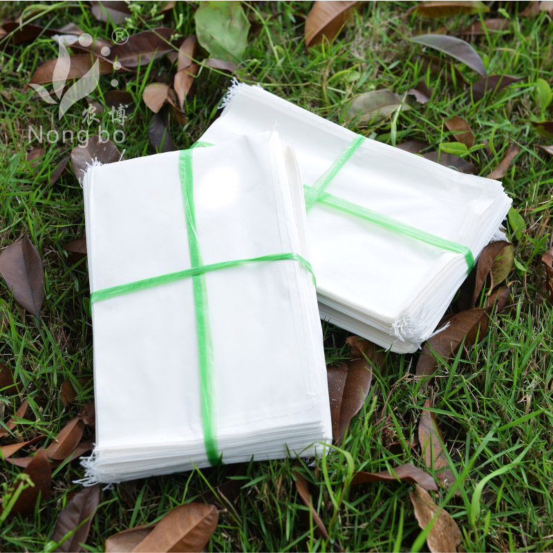 农作物玉米水稻羊皮纸袋杂交袋硫酸纸袋授粉隔离育种套袋 (缝线)