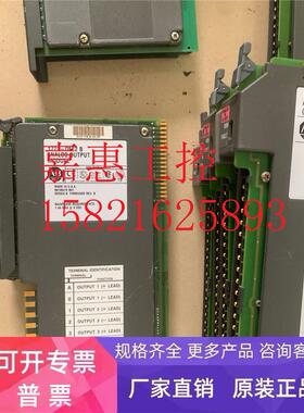 AB罗克韦尔 17710FE2 B模拟量输出模块1771-0FE2 现货 实拍
