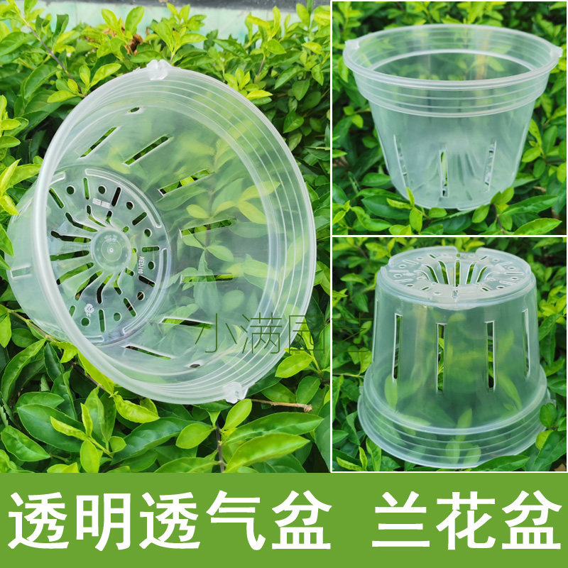 新款蝴蝶兰专用花盆透明白塑料带侧孔树脂育苗杯石斛绿植透气养根