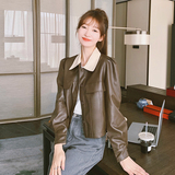 【秋装现货】撞色领皮衣255-Q381-P135-K188，女装皮衣，浙宝288（原255）