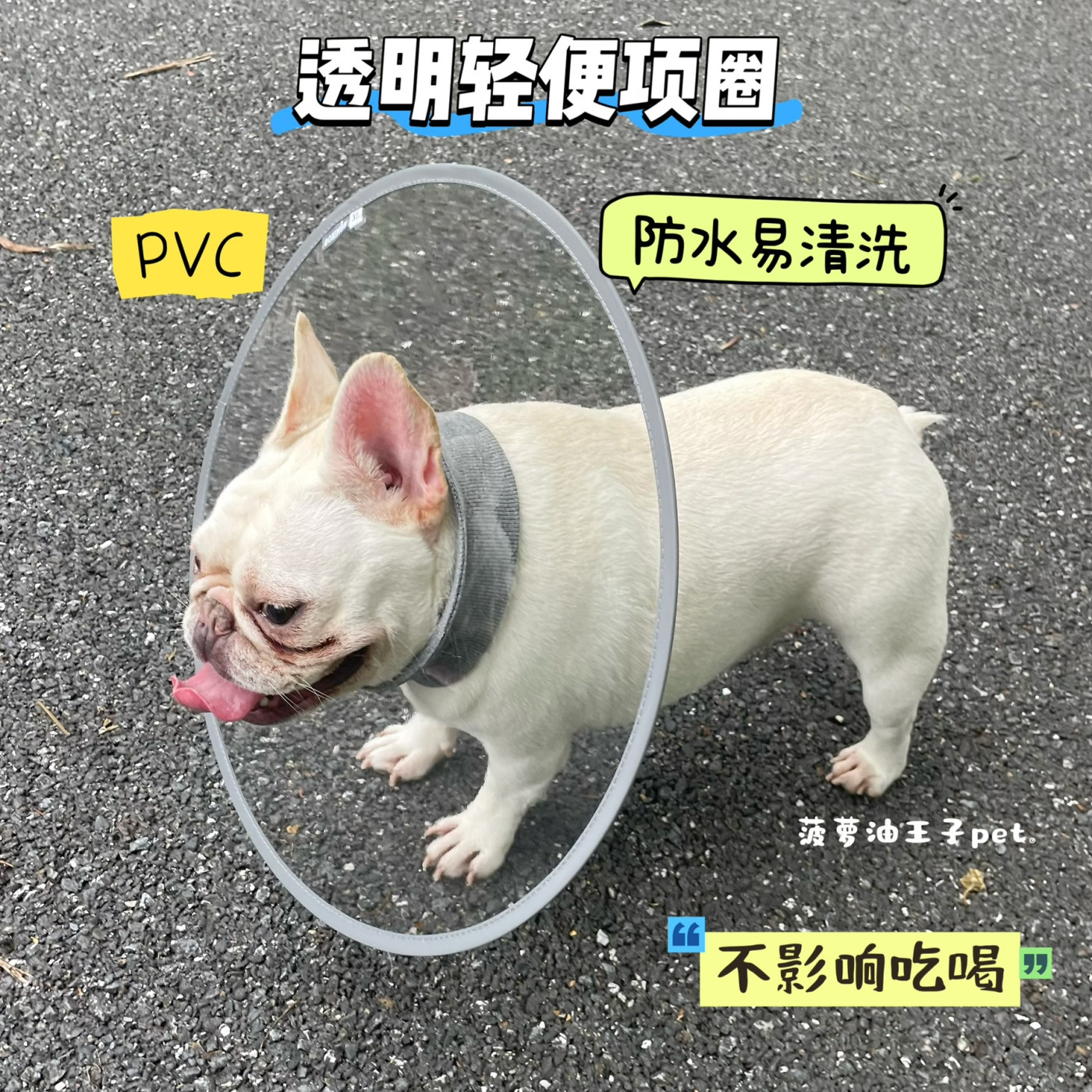 宠物四季轻便透明PVC伊丽莎白圈 猫咪狗狗绝育术后防舔咬护理项圈
