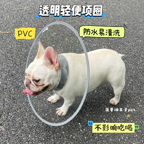 宠物四季轻便透明PVC伊丽莎白圈 猫咪狗狗绝育术后防舔咬护理项圈