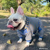 法斗中大型犬 秋冬加厚德绒高领柔软保暖弹力四脚裤 新款 宠物衣服