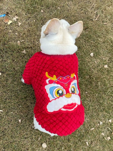 Новая домашняя одежда собака Год новогоднего костюма двойной плюшевой плюшевой свитер теплый новый год одежды