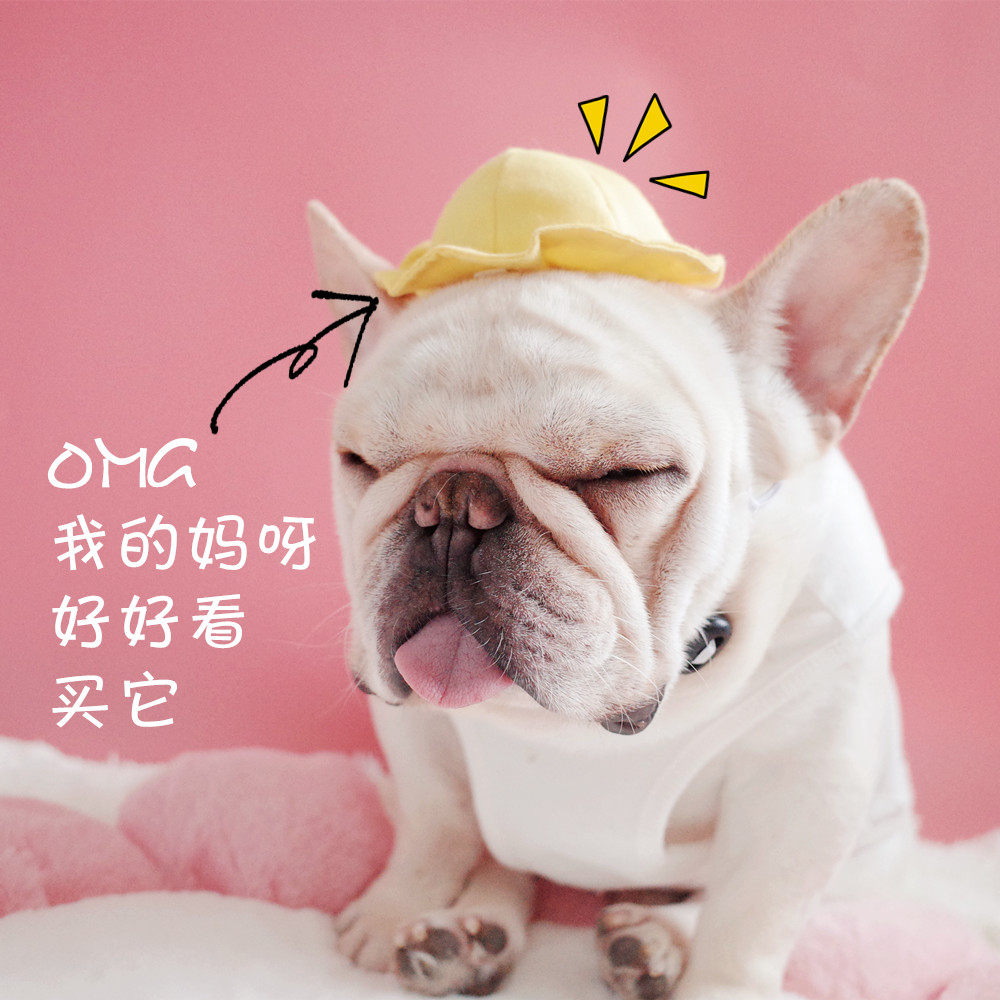 宠物帽子 狗狗小黄帽子 法斗小黄帽 凹造型 拍照装饰帽子 狗帽子