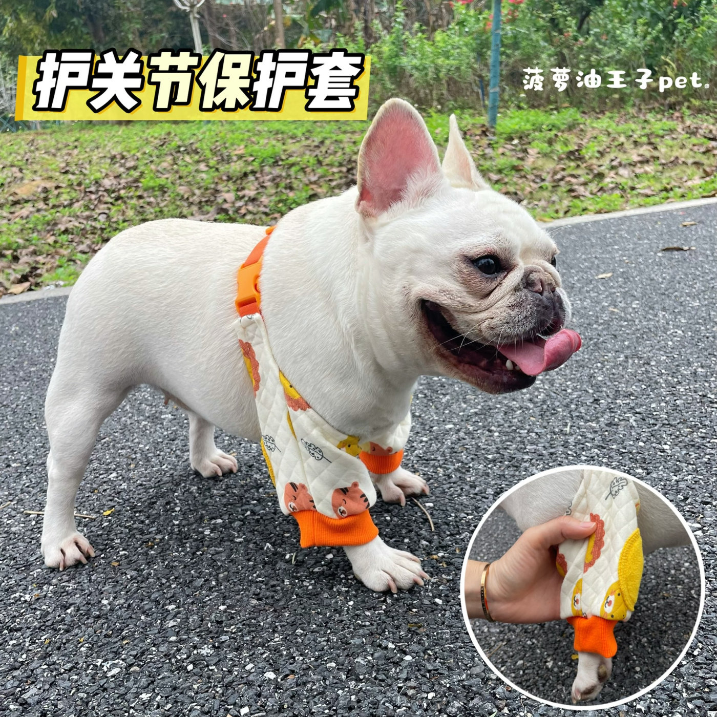 狗狗护肘衣 前腿关节保护套 柯基法斗护膝衣 老年犬中大型犬