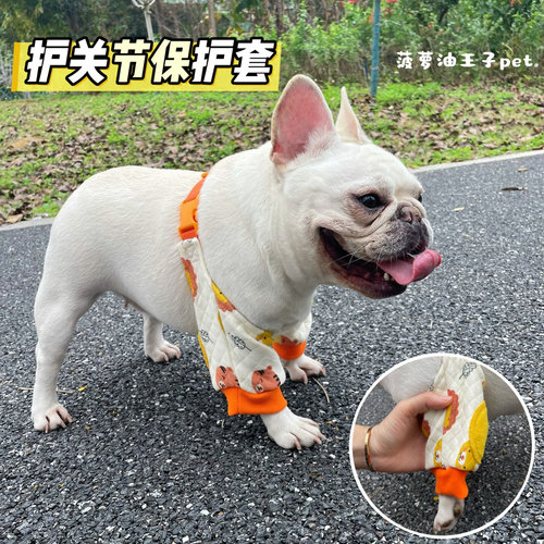 狗狗护肘衣 前腿关节保护套 柯基法斗护膝衣 老年犬中大型犬