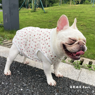 新款宠物衣服 母狗狗春夏薄款网眼透气绝育包肚防凉四脚背心法斗