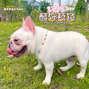 新款宠物狗狗搭配衣服装饰项链 可爱彩色巴多胺串珠项链 法斗项链
