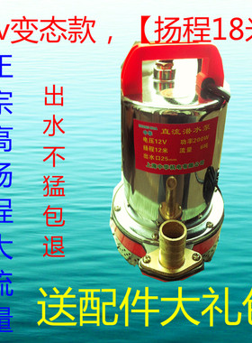 高扬程12V直流潜水泵24V48V60V电动车抽水机农用浇菜大流量电瓶泵
