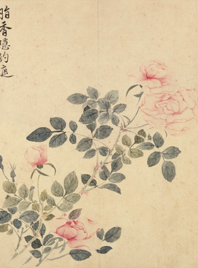 恽寿平花鸟草虫凝晖阁高清