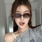 复古金属腿老钱风豹纹茶色韩女潮墨镜小脸高级感海边度假太阳眼镜