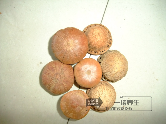 中药材 男人滋补 风流果  龟头子 500克 包邮