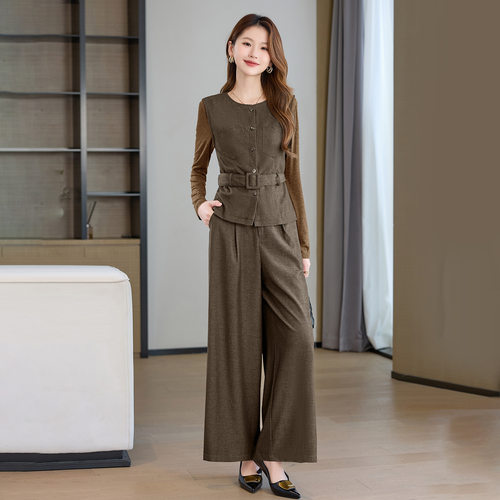 时尚休闲套装女2025秋新款气质减龄马甲针织衫阔腿裤三件套HR1198