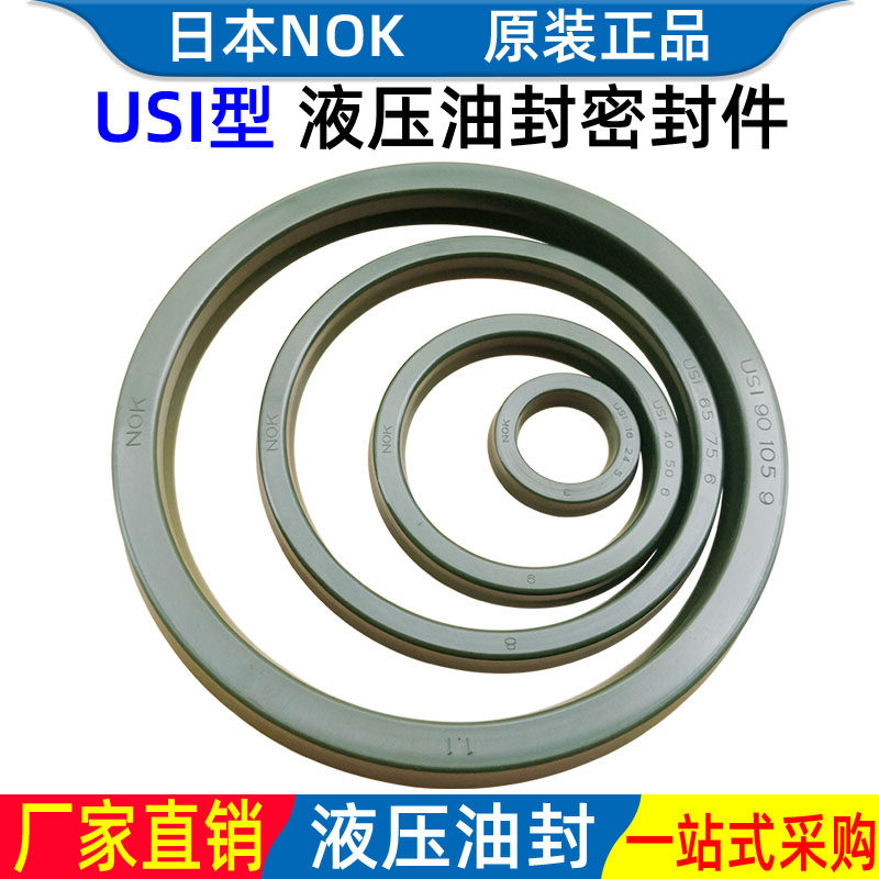 NOKUSI型进口油封密封圈液压油缸